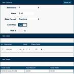 how do i work out my winnings on a bet?